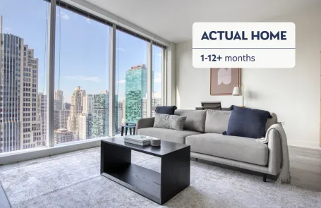 1 Bedroom Streeterville Apartment