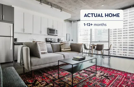 1 Bedroom Chicago Loop Apartment
