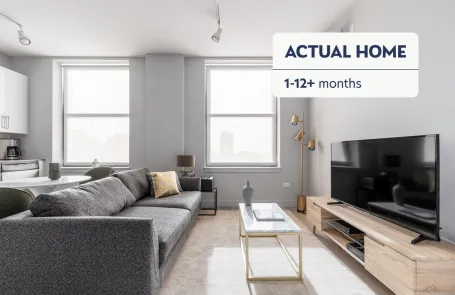 1 Bedroom Chicago Loop Apartment