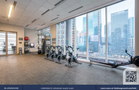 1 Bedroom Streeterville Apartment