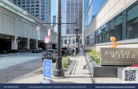1 Bedroom Streeterville Apartment