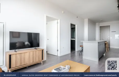 1 Bedroom South Loop Apartment