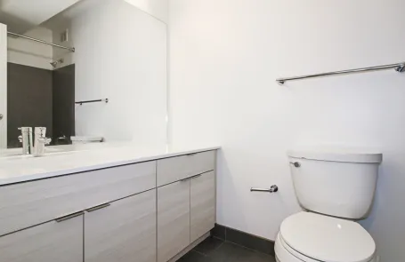 2 Bedroom Streeterville Apartment