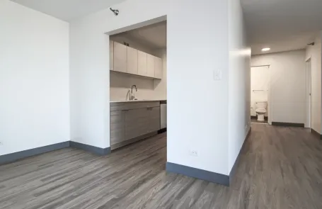 2 Bedroom Streeterville Apartment
