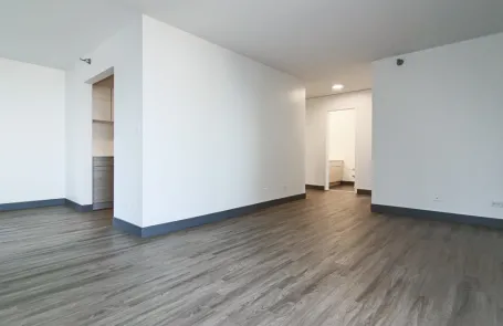 2 Bedroom Streeterville Apartment