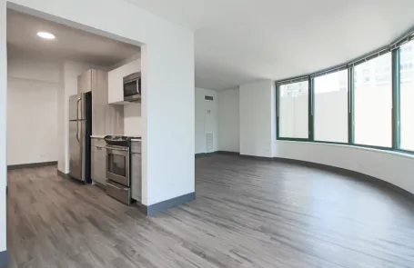 2 Bedroom Streeterville Apartment
