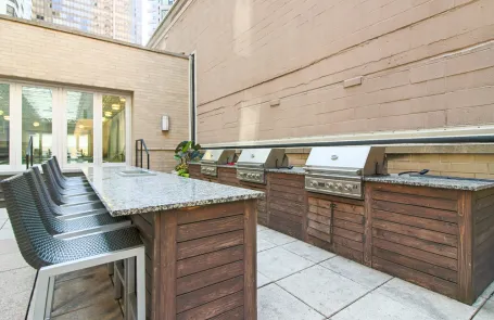 2 Bedroom Streeterville Apartment