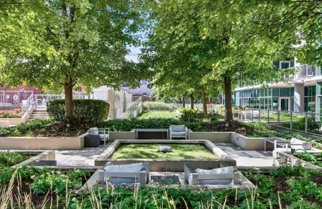 1 Bedroom Lakeview Apartment
