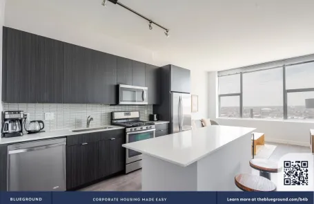 1 Bedroom South Loop Apartment