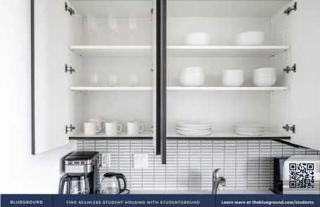 1 Bedroom South Loop Apartment