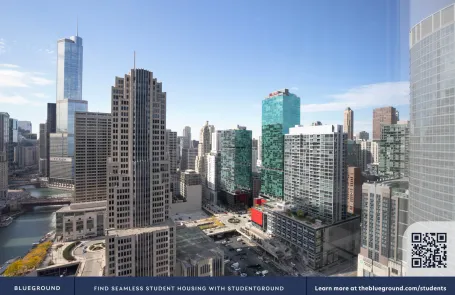 1 Bedroom Streeterville Apartment