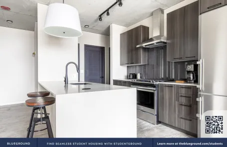 1 Bedroom West Loop Apartment