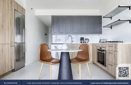 1 Bedroom West Loop Apartment