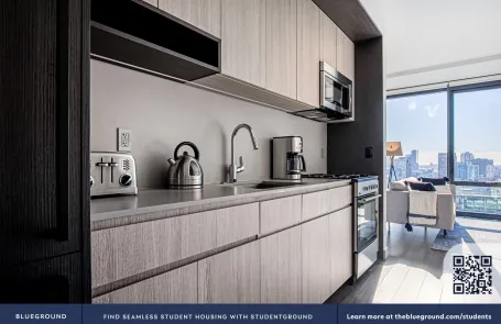 Studio South Loop Apartment