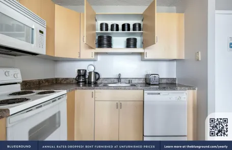 2 Bedroom South Loop Apartment