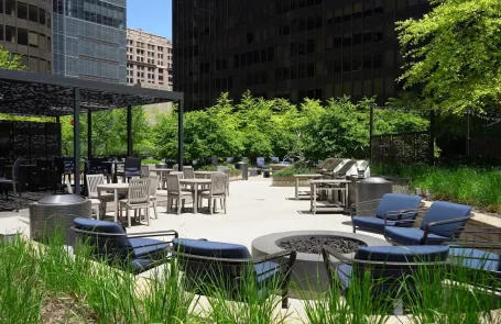 1 Bedroom Streeterville Apartment