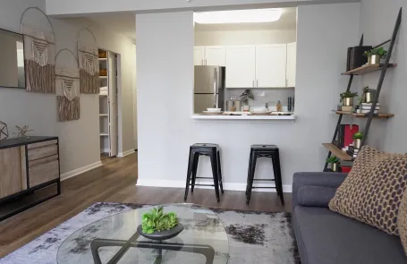 1 Bedroom Streeterville Apartment