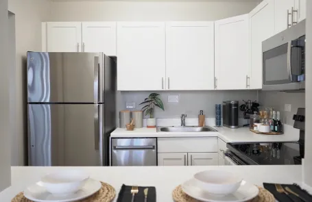 1 Bedroom Streeterville Apartment