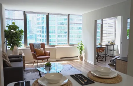 1 Bedroom Streeterville Apartment