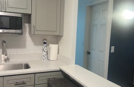 1 Bedroom Lincoln Park Condo