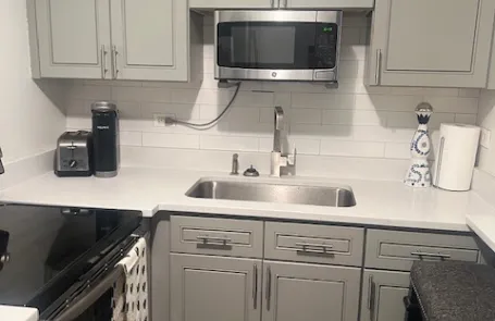 1 Bedroom Lincoln Park Condo