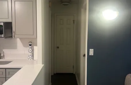 1 Bedroom Lincoln Park Condo