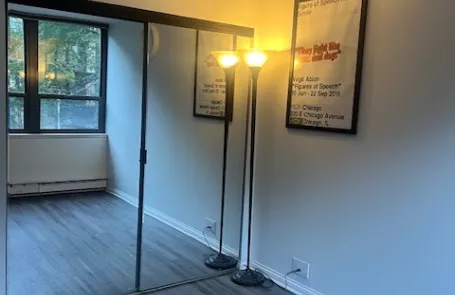 1 Bedroom Lincoln Park Condo