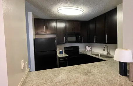 1 Bedroom River North Apartment