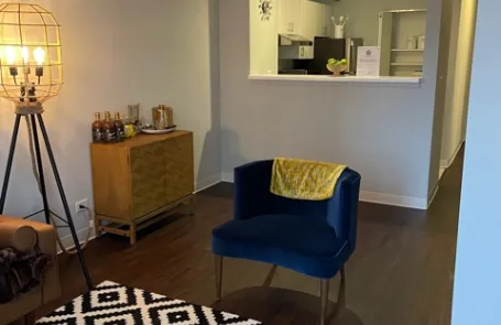 1 Bedroom Streeterville Apartment
