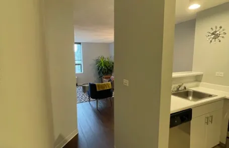 1 Bedroom Streeterville Apartment