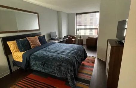 1 Bedroom Streeterville Apartment