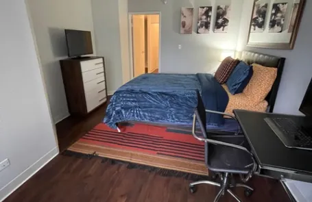 1 Bedroom Streeterville Apartment