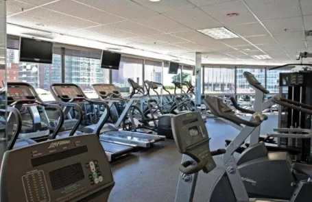 1 Bedroom Streeterville Apartment