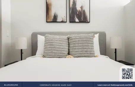 1 Bedroom South Loop Apartment