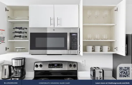 1 Bedroom Streeterville Apartment