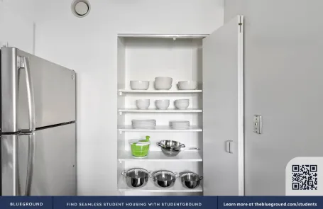 1 Bedroom Streeterville Apartment
