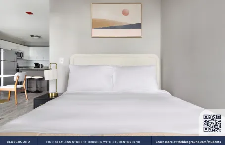 1 Bedroom West Loop Apartment