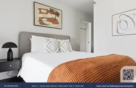 1 Bedroom Streeterville Apartment