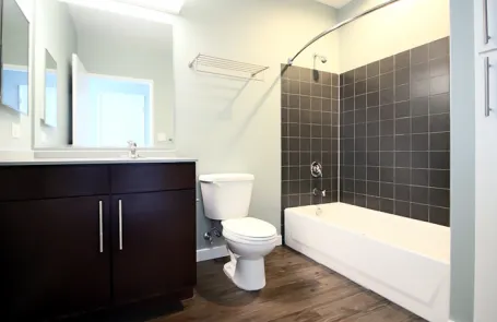 1 Bedroom South Loop Apartment
