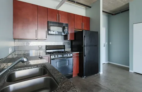 1 Bedroom South Loop Apartment