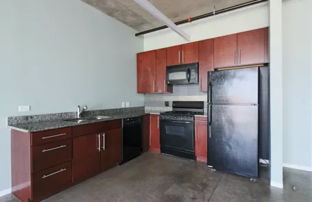 1 Bedroom South Loop Apartment