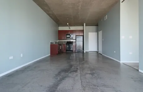 1 Bedroom South Loop Apartment