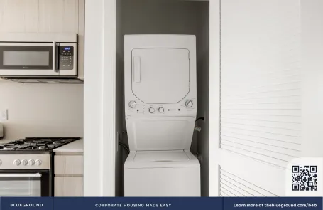 1 Bedroom South Loop Apartment