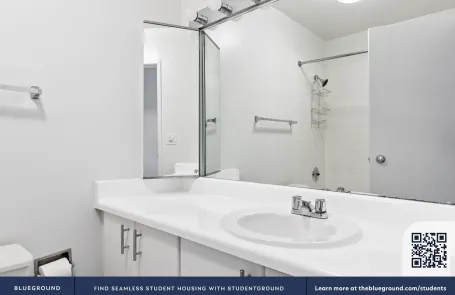 1 Bedroom Streeterville Apartment