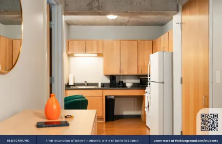 2 Bedroom South Loop Apartment