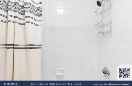 1 Bedroom Streeterville Apartment