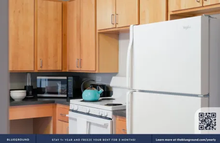 2 Bedroom South Loop Apartment