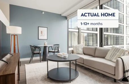 1 Bedroom South Loop Apartment