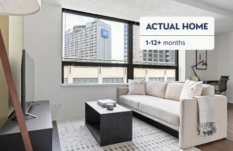 1 Bedroom Streeterville Apartment
