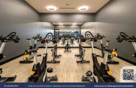 1 Bedroom South Loop Apartment